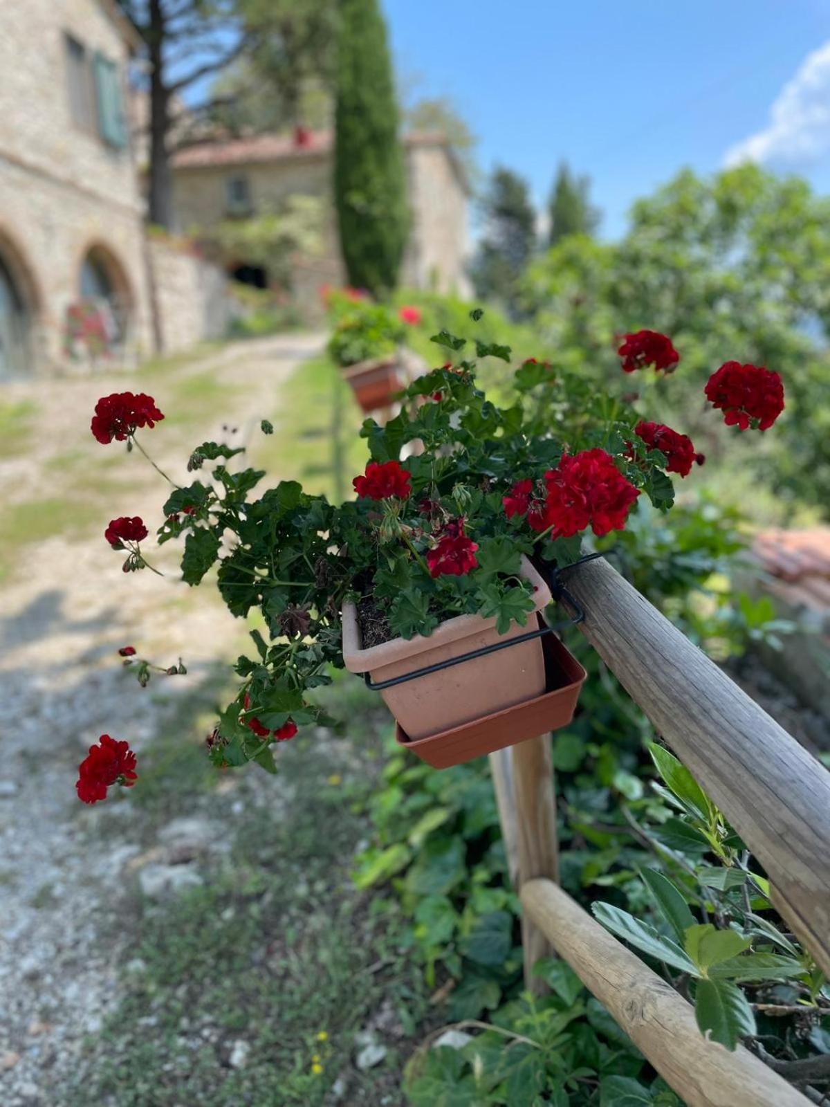 Casa Il Cipresso, In The Heart Of Chianti With Swimming Pool Villa Castellina in Chianti Dış mekan fotoğraf